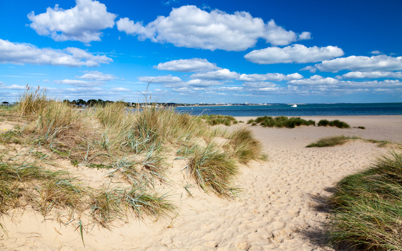 Shell Bay beach shell bay beach in dorset